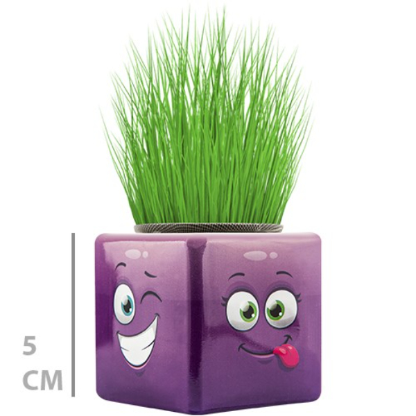 Çim Adam Saksı Emoji Figürlü 1 Adet