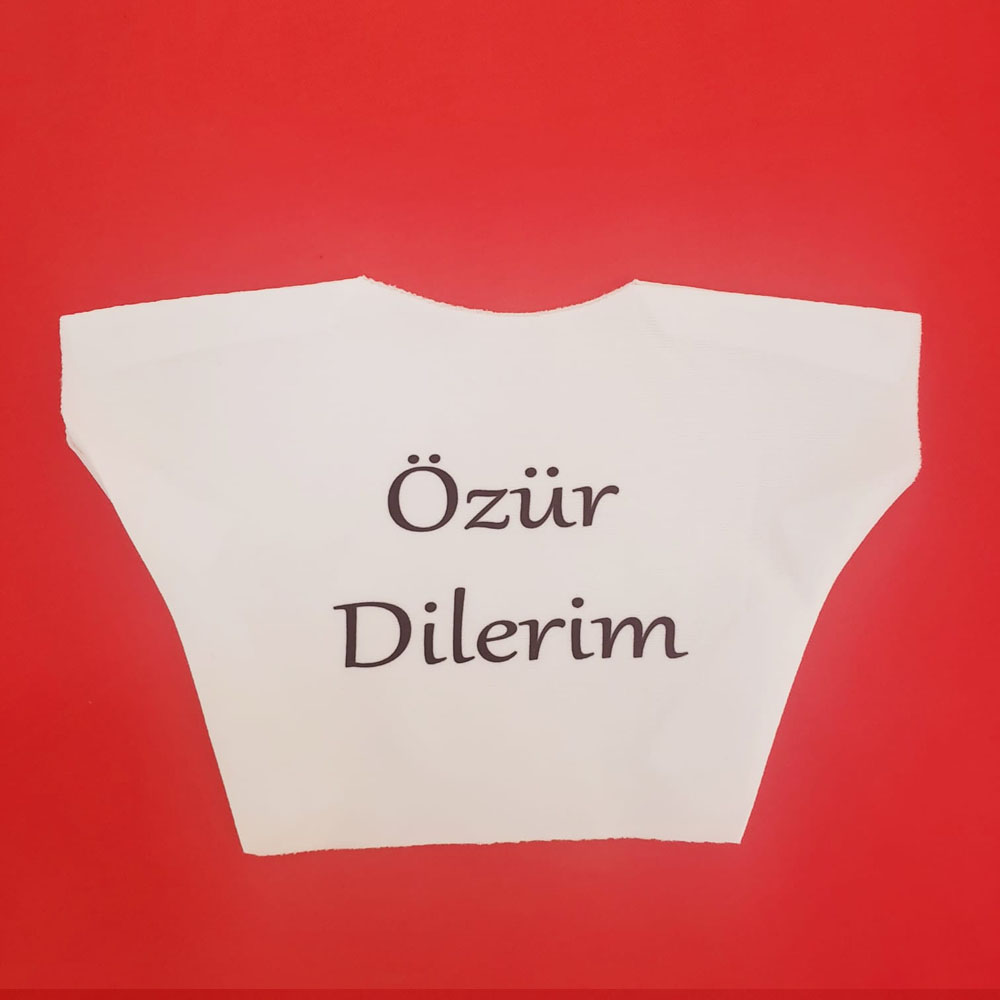 Oyuncak Sümüklü Böcek